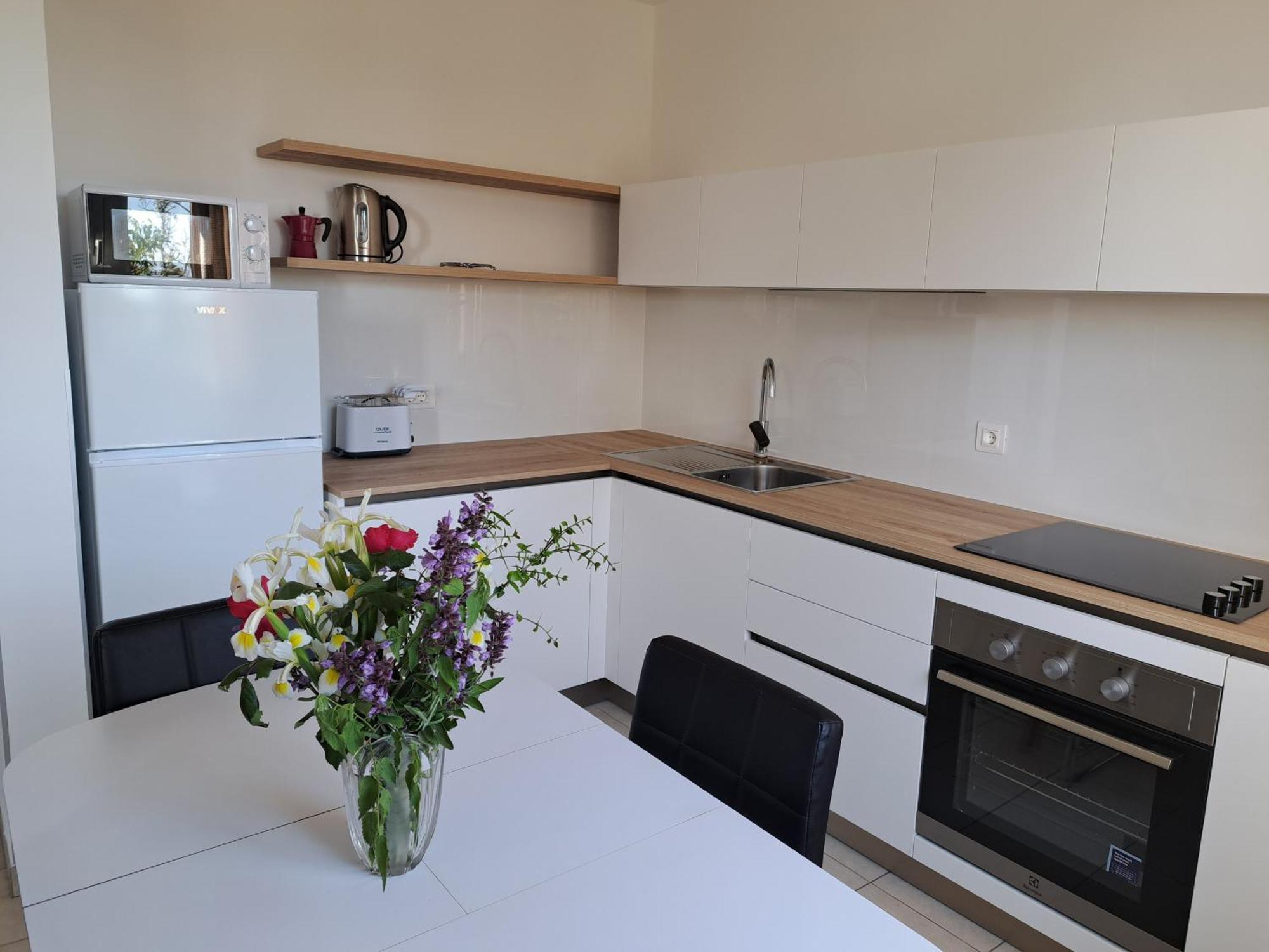 Apartment Elinor 2 Ровин Екстериор снимка